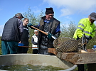 Nikoliv výlov, ale přímo rybí festival