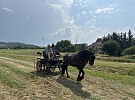 Svou brázdu vyoralo patnáct traktorů