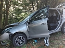 Šílený pád ze svahu: Řidička u Štěměch narazila do stromu, čtyři lidé skončili v nemocnici