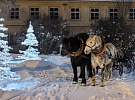 Zažijte kouzelný adventní víkend na statku!