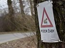 Žáby blokují dostavbu Zámiše