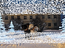 Adventní neděle na statku