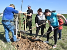 Sázeli budoucnost: Nová ovocná alej ve Výčapech