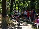 Mladí sportovci z Vysočiny vybojovali na olympiádě 27 medailí