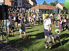Den s kapkou přilákal stovky návštěvníků