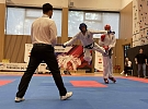 Taekwon-do ITF: 13 medailí z 2. kola poháru pro Třebíč