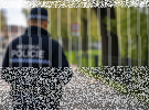Strážníci řešili agresivního muže, pokus o podvod i zraněného srnce