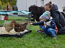 Na nádvoří jemnického zámku opět zavládlo trhové právo