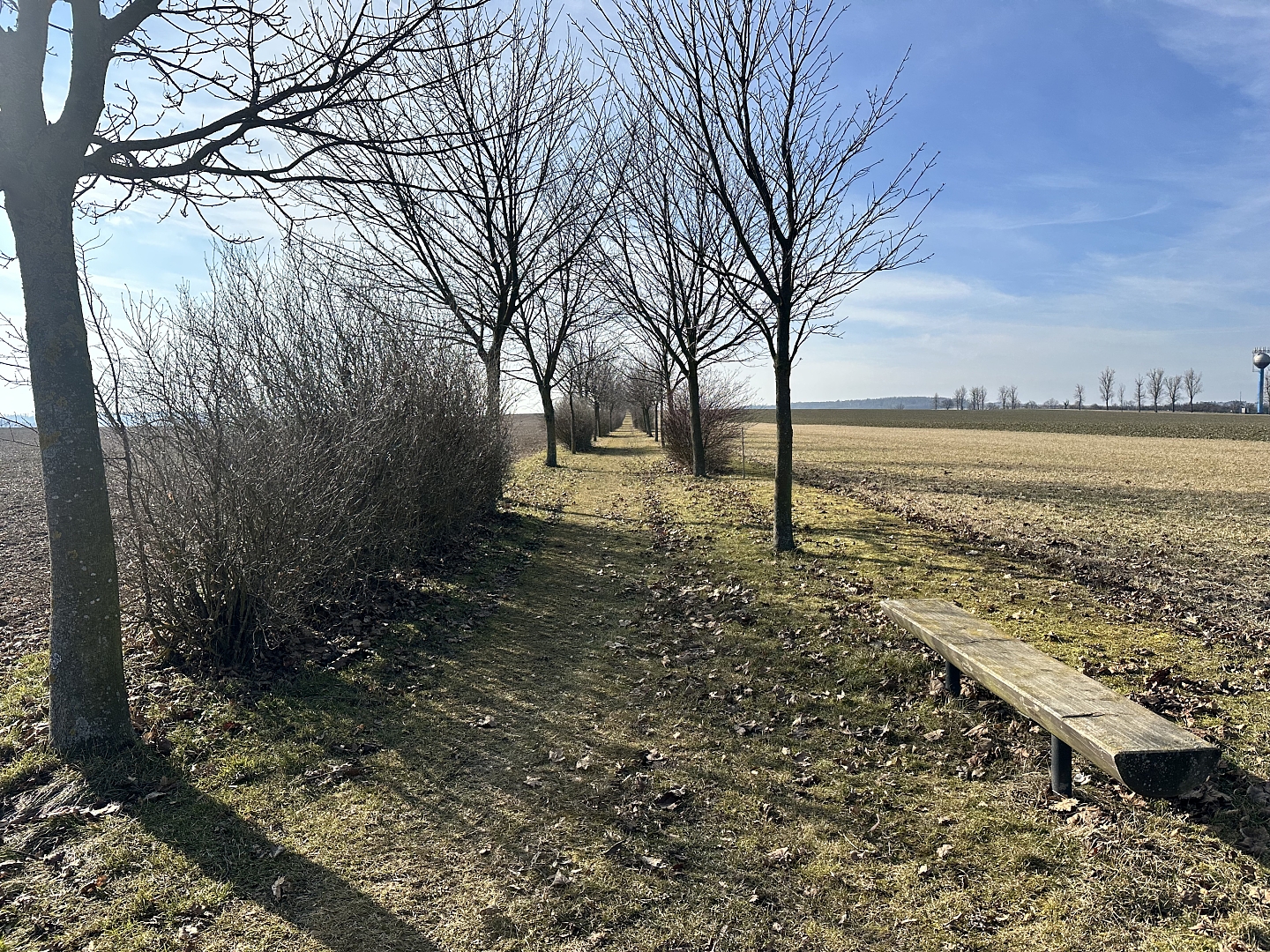 Fotografie 1