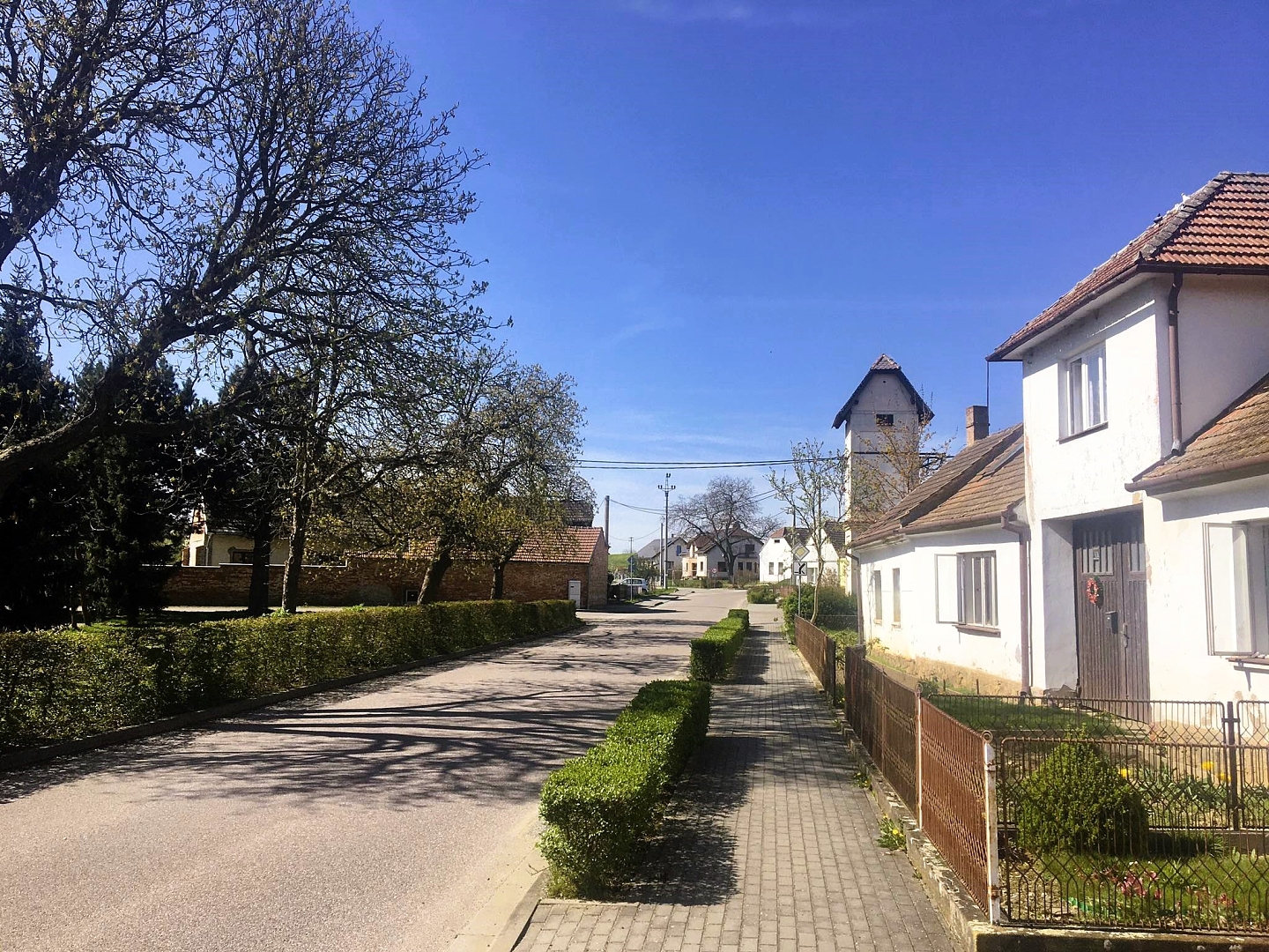 Fotografie 1