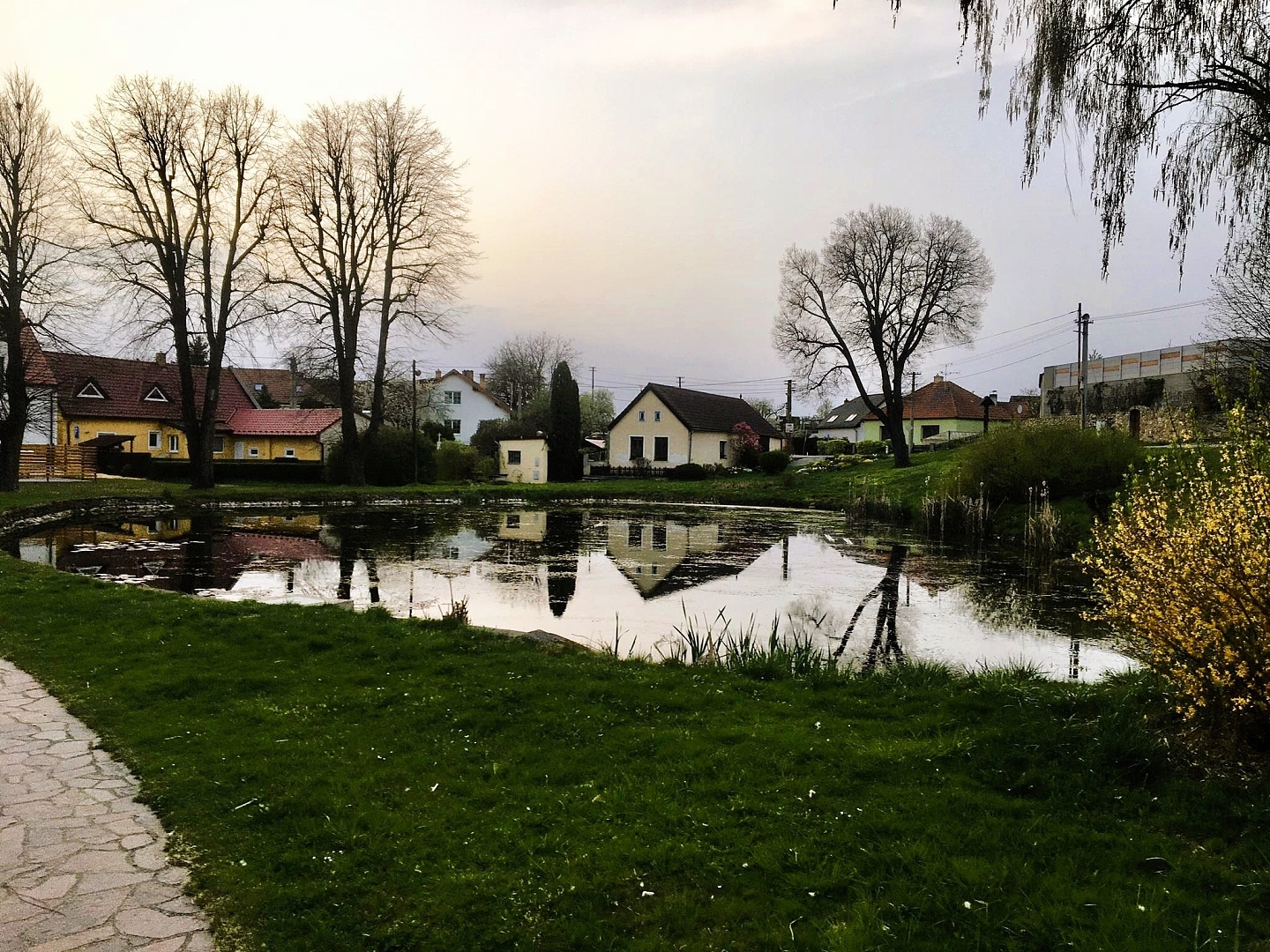 Fotografie 1