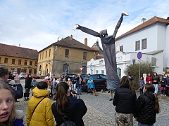 Thumbnail 12