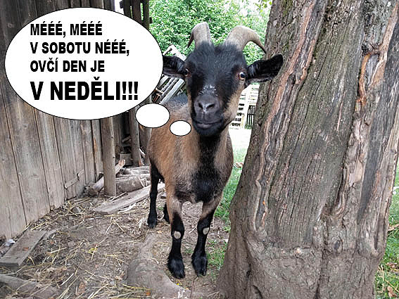Fotografie 1
