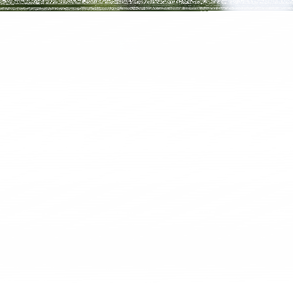 Fotografie 1