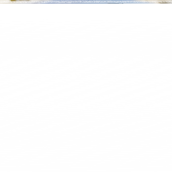 Fotografie 1