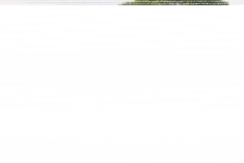 Fotografie 1