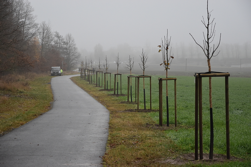 Fotografie 15