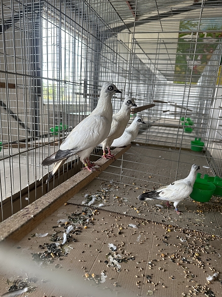 Fotografie 2