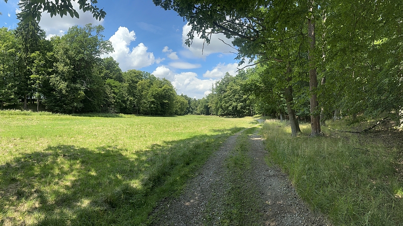 Fotografie 8