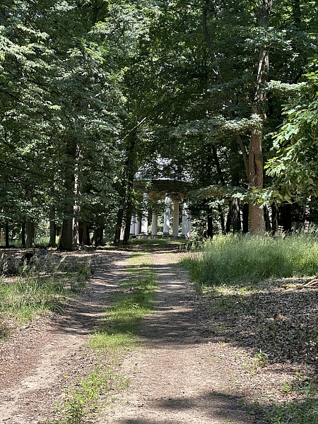 Fotografie 15
