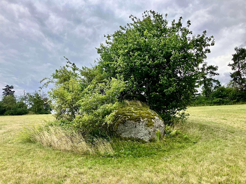 Fotografie 7