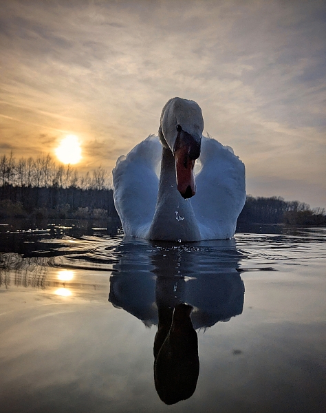 Fotografie 6