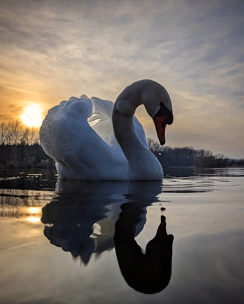 Fotografie 7