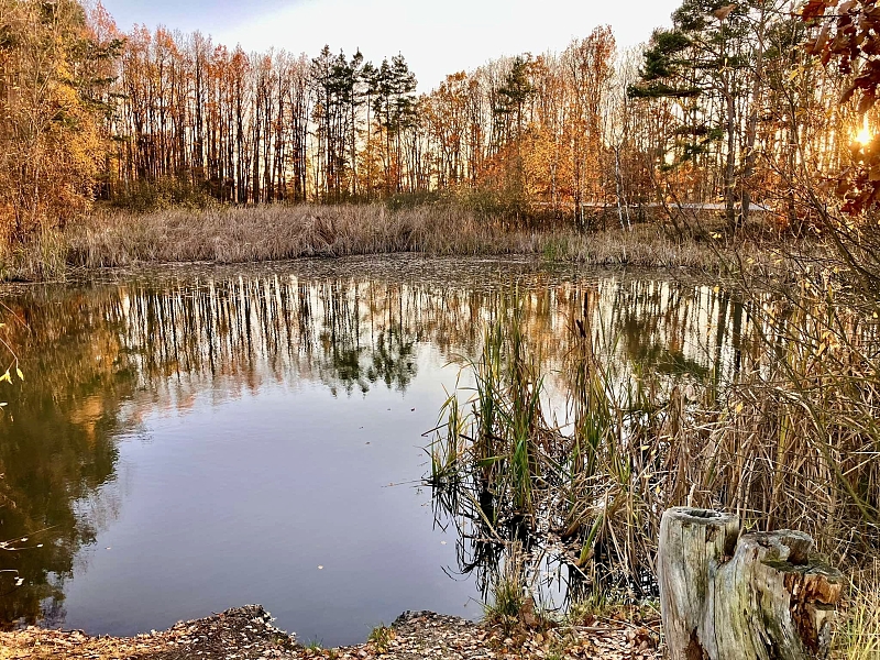 Fotografie 6