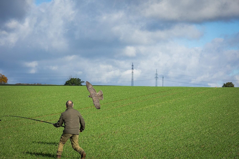 Fotografie 6