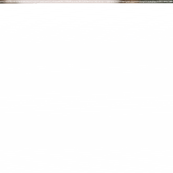 Fotografie 1