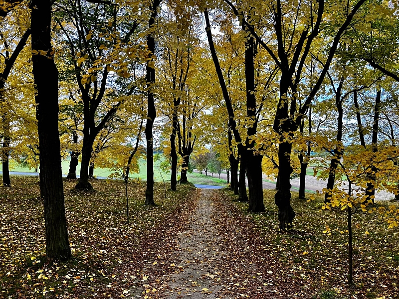 Fotografie 8