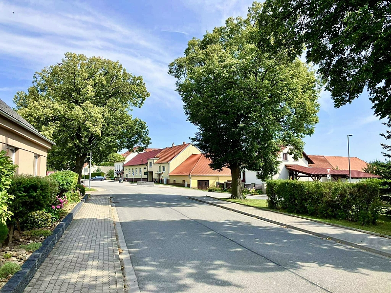 Fotografie 12