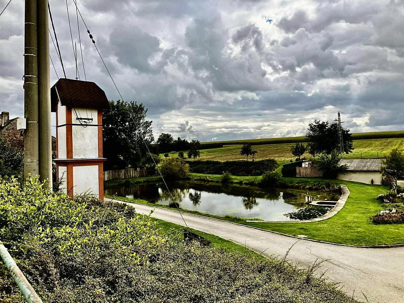 Fotografie 8