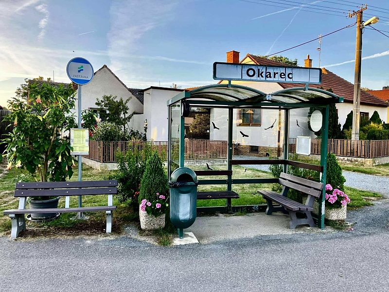 Fotografie 7