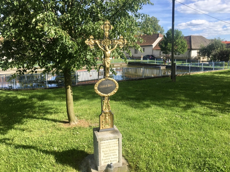 Image 7