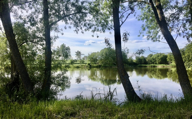 Image 11