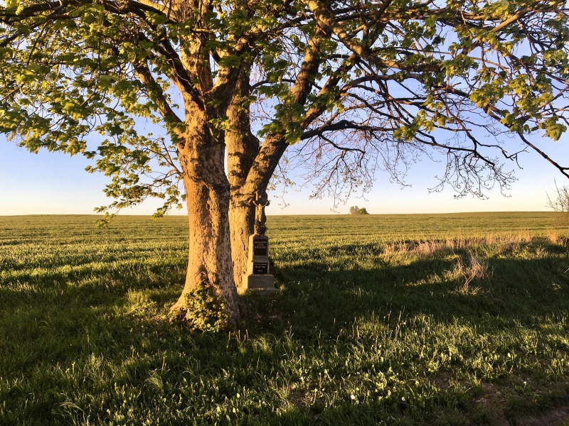 Image 12