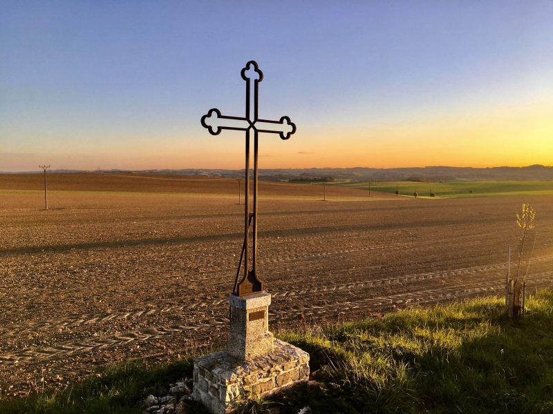 Image 13