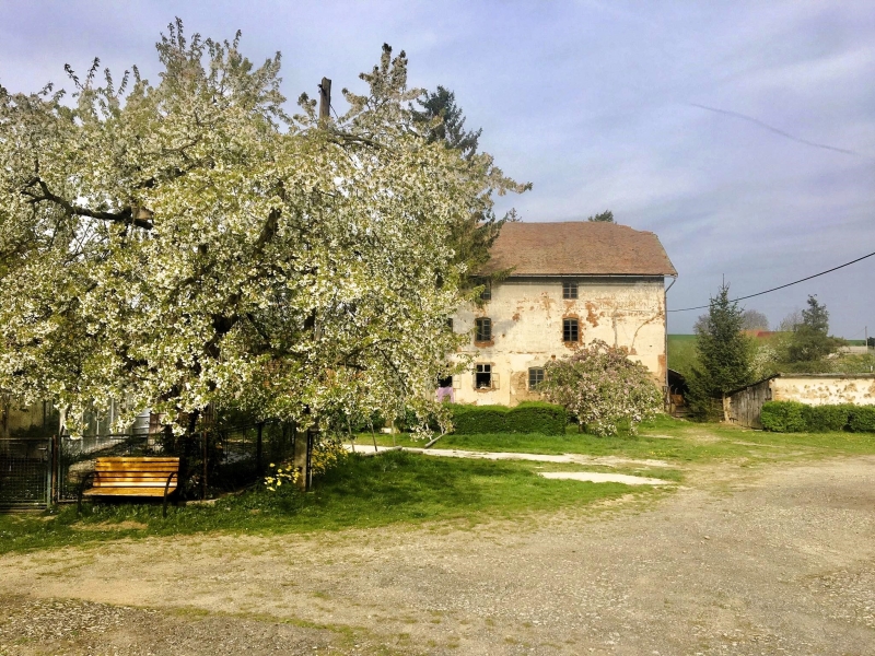 Image 8