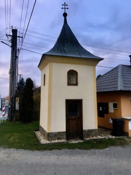 Image 7