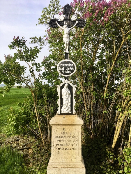 Image 11
