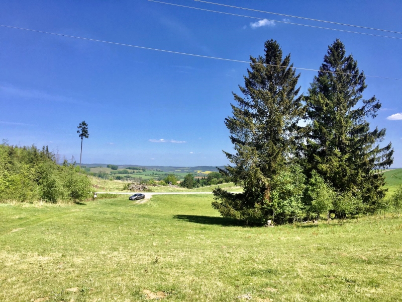 Image 12