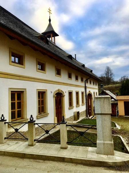 Image 8