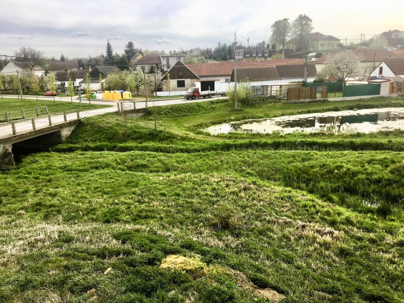 Image 14