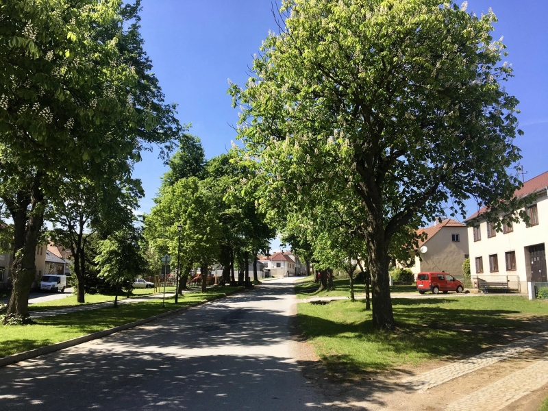 Image 13