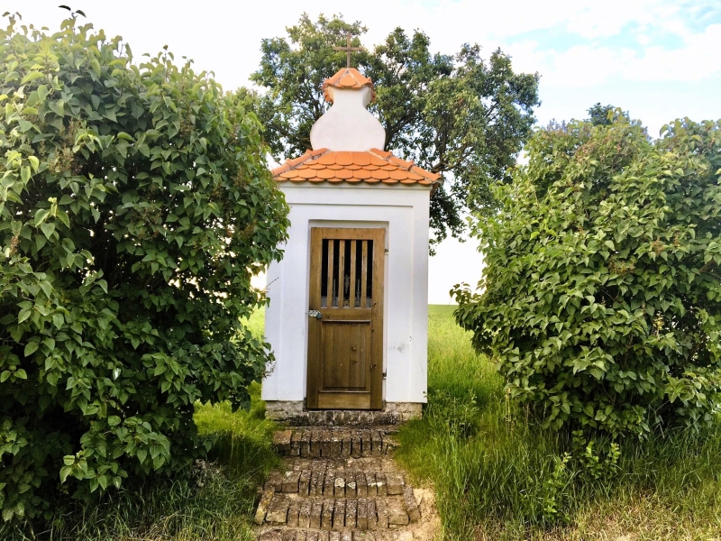 Image 11