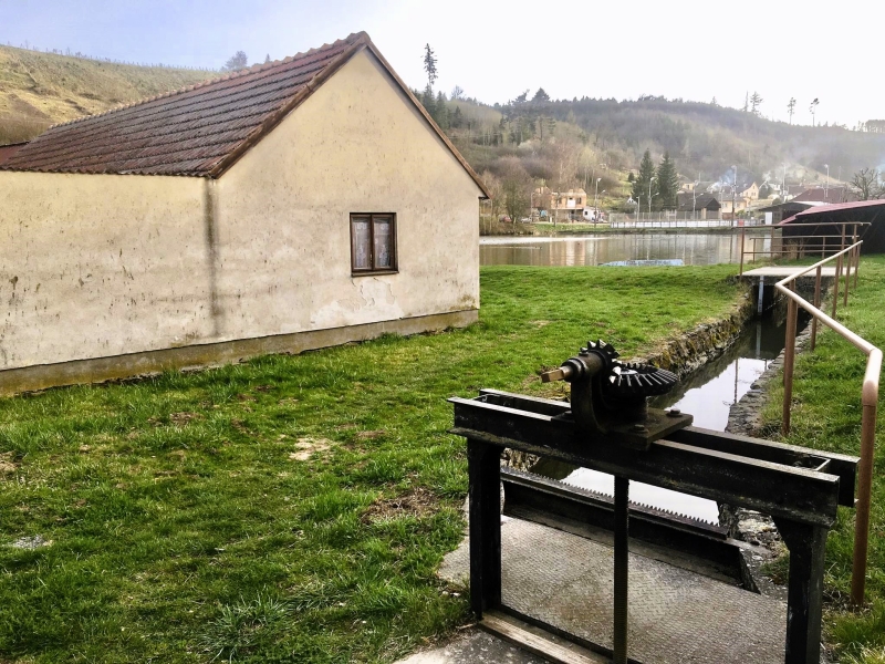 Image 3