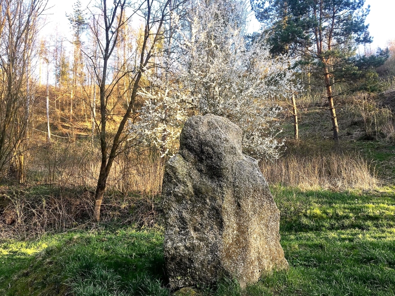 Image 8