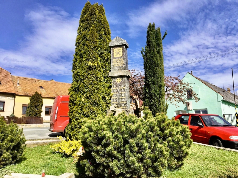 Image 10