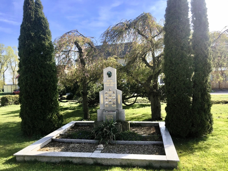 Image 6